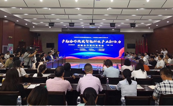 星空平台入口_星空(中国)科技喜获千万级担保授信